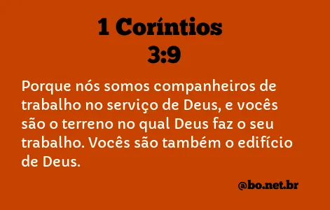 1 Coríntios 3:9 NTLH