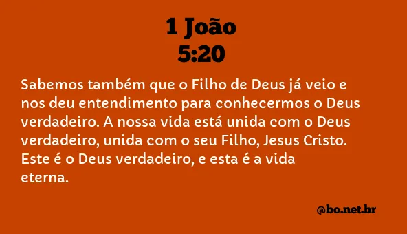 1 João 5:20 NTLH