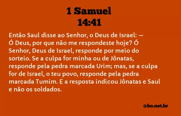 1 Samuel 14:41 NTLH