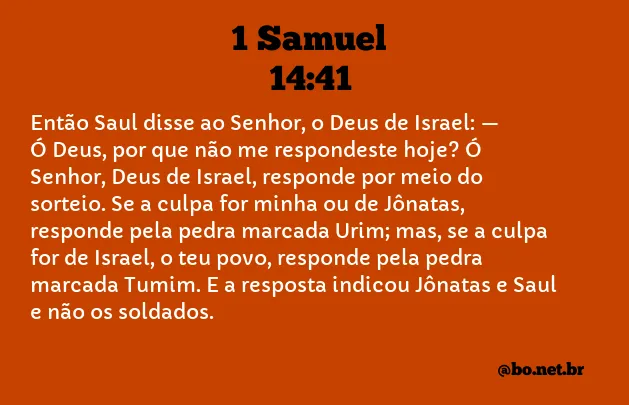 1 Samuel 14:41 NTLH