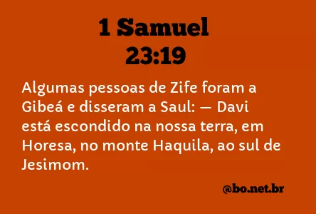 1 Samuel 23:19 NTLH