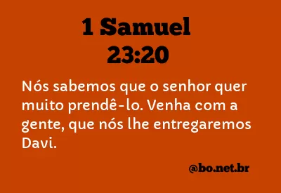 1 Samuel 23:20 NTLH