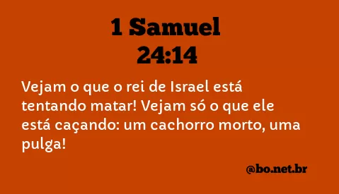 1 Samuel 24:14 NTLH