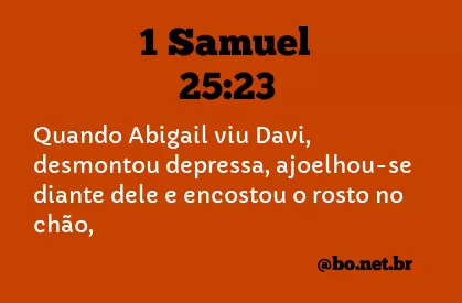 1 Samuel 25:23 NTLH