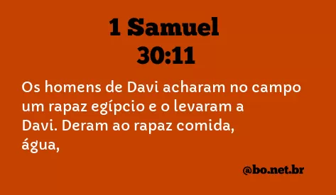 1 Samuel 30:11 NTLH