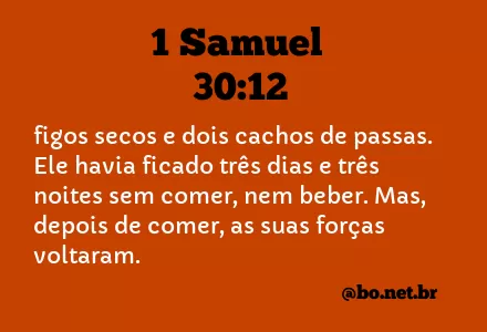 1 Samuel 30:12 NTLH
