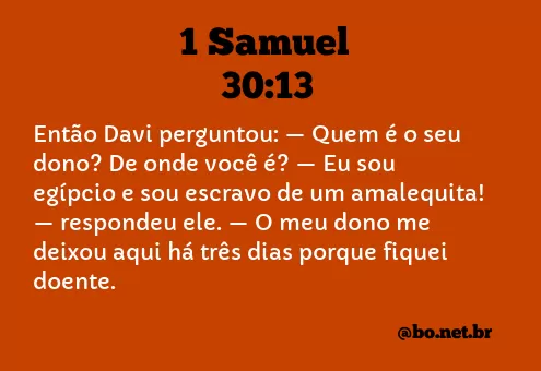 1 Samuel 30:13 NTLH