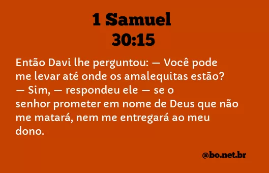 1 Samuel 30:15 NTLH