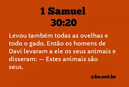 1 Samuel 30:20 NTLH