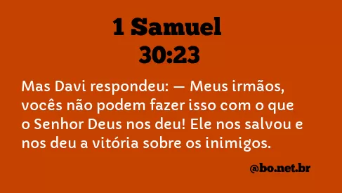 1 Samuel 30:23 NTLH