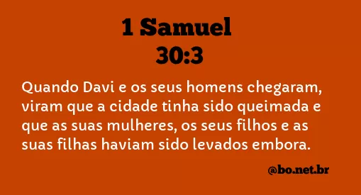 1 Samuel 30:3 NTLH