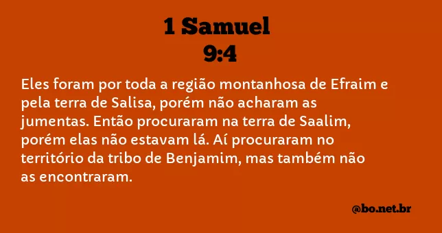 1 Samuel 9:4 NTLH