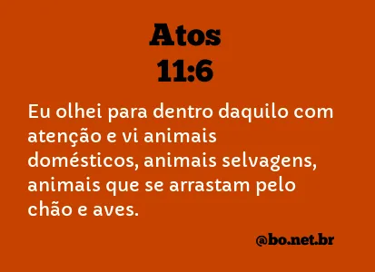 Atos 11:6 NTLH