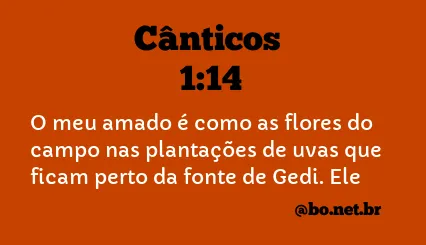 Cânticos 1:14 NTLH