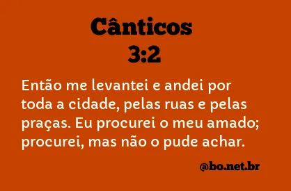 Cânticos 3:2 NTLH