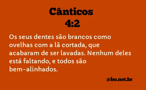 Cânticos 4:2 NTLH