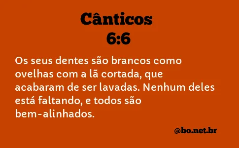 Cânticos 6:6 NTLH