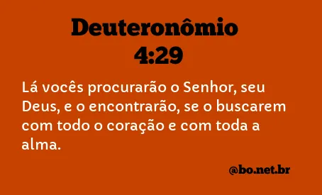 Deuteronômio 4:29 NTLH