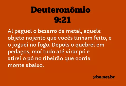 Deuteronômio 9:21 NTLH