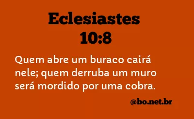 Eclesiastes 10:8 NTLH