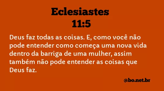 Eclesiastes 11:5 NTLH