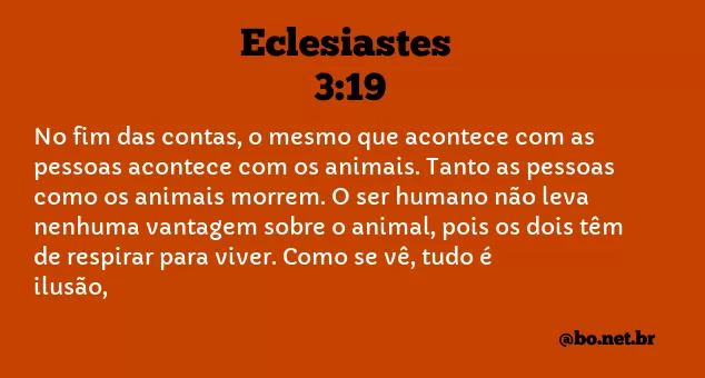 Eclesiastes 3:19 NTLH
