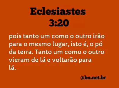 Eclesiastes 3:20 NTLH
