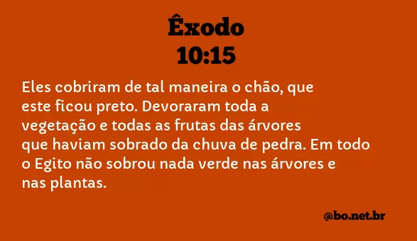 Êxodo 10:15 NTLH