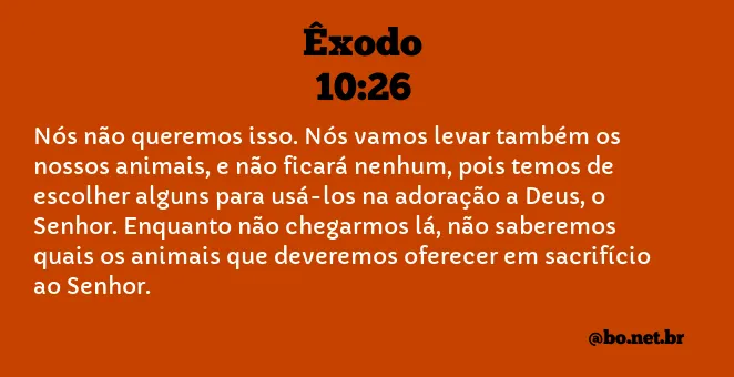 Êxodo 10:26 NTLH