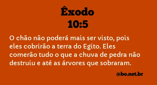 Êxodo 10:5 NTLH