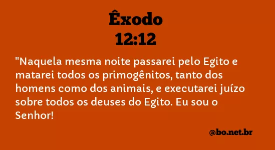 ÊXODO 12:12 NVI NOVA VERSÃO INTERNACIONAL