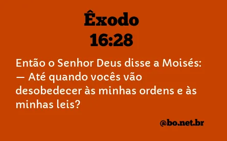 Êxodo 16:28 NTLH