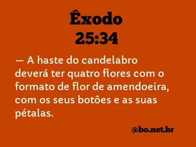 Êxodo 25:34 NTLH