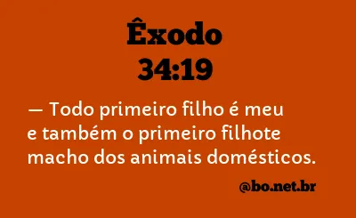 Êxodo 34:19 NTLH