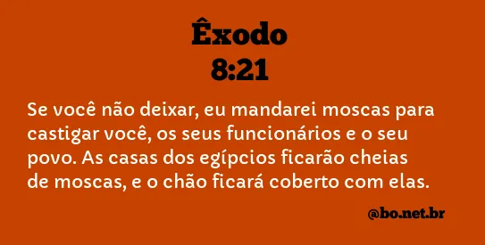 Êxodo 8:21 NTLH