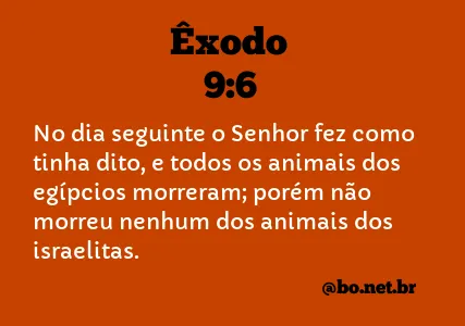 Êxodo 9:6 NTLH