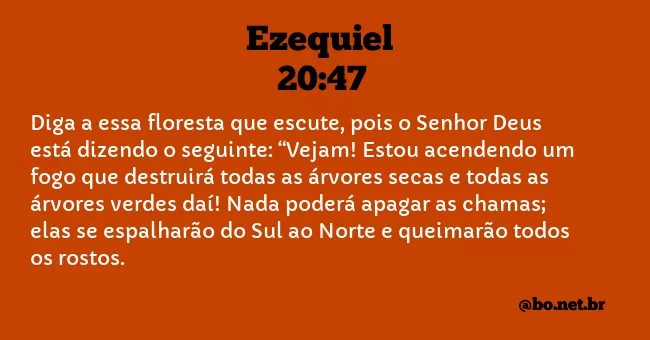 Ezequiel 20:47 NTLH