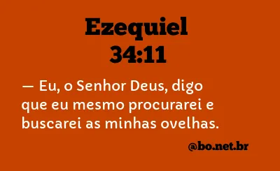 Ezequiel 34:11 NTLH