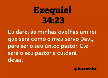 Ezequiel 34:23 NTLH