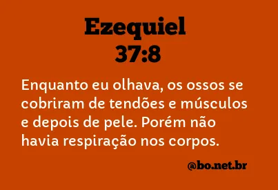 Ezequiel 37:8 NTLH