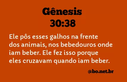 Gênesis 30:38 NTLH