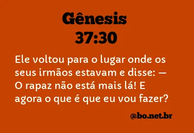 Gênesis 37:30 NTLH