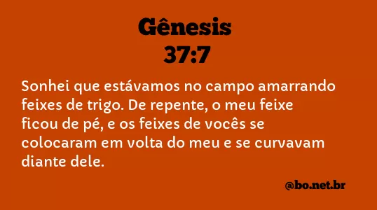 Gênesis 37:7 NTLH