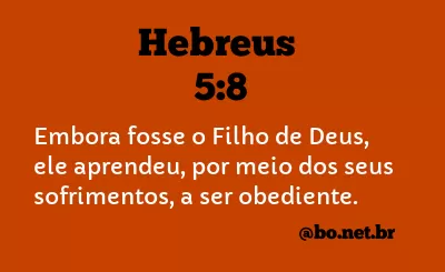 Hebreus 5:8 NTLH
