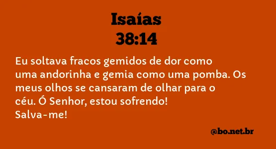 Isaías 38:14 NTLH