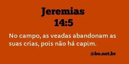 Jeremias 14:5 NTLH