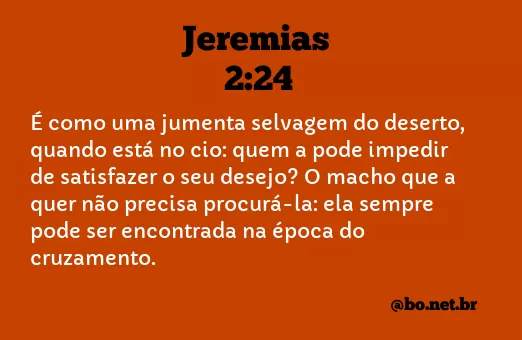Jeremias 2:24 NTLH