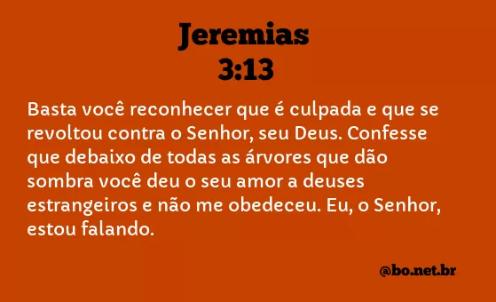 Jeremias 3:13 NTLH