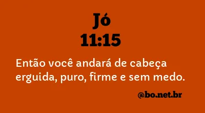 Jó 11:15 NTLH