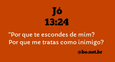 Jó 13:24 NTLH